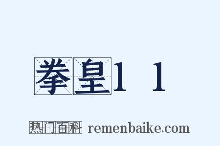 拳皇11是什么意思的图片